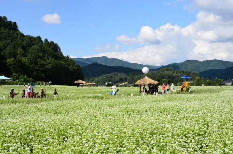 Lễ hội văn hóa Hyoseok